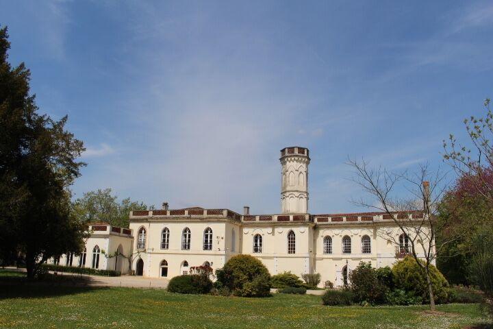 Chateau Castelrives Bessières Exteriör bild